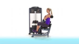 Разгибание спины Precor DSL 313