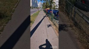Сад камней