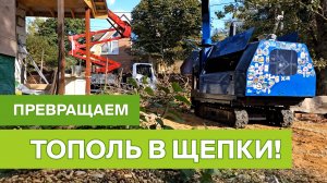 Превращаем тополь в щепки