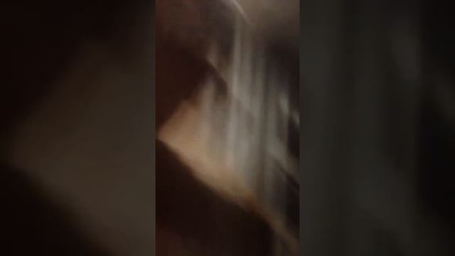 Бажана начало новой жизниза курятником часть 1 даунская калонка в бочке смотреть онлайн