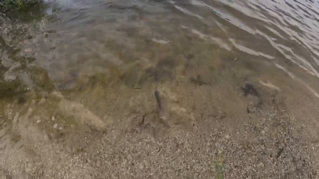 Отдых на природе закинул фидер смотреть онлайн