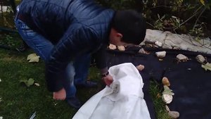 Как укрыть виноград на зиму