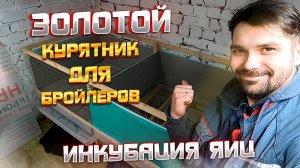 Закончили строительство клеток для кур бройлеров своими руками! Начинаем инкубировать яйца!