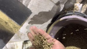 Видео 5 Гранулятор Комбикорма Из МясоРубки 220 в Мощность 1,6 кВт Производительность 30 кг в час