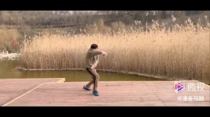 Ma Shi Tongbei Wu Yi. Grandmaster Ma Yue. Bajiquan. Fajiquan. Ма Ши Тунбэй У И. Грандмастер Ма Юэ.
