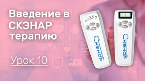 Видеокурс: Введение в СКЭНАР-терапию Никушина ч 10