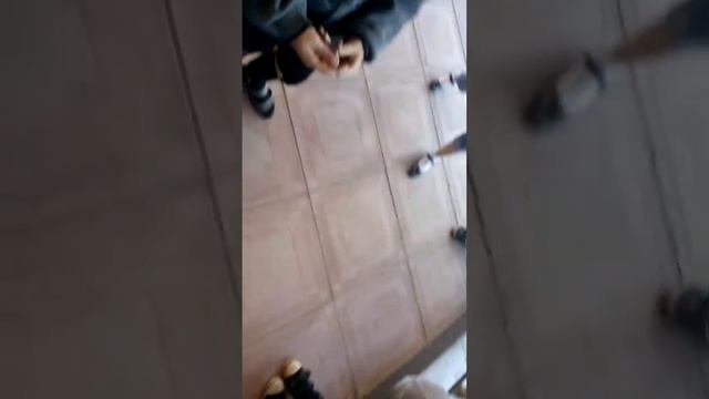 Шлюши
