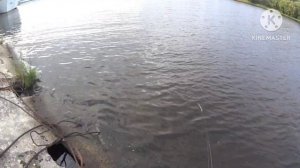 #esoxcustomlures, Тверская обл, Волга,
Уехал в командировку и все с собой!
Рыбалкой болен)))