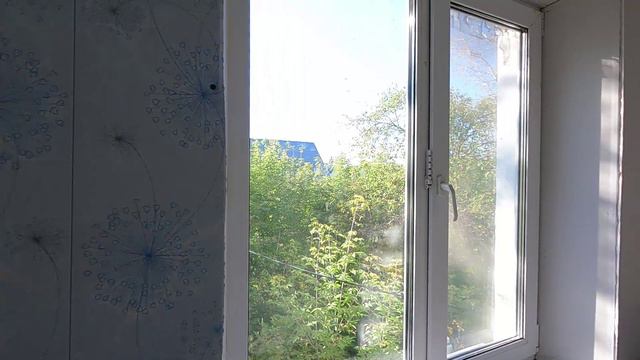 GH010853.MP4 смотреть онлайн