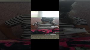 что я купила для квадробики за 2 месяца 💕