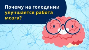 Почему на голодании улучшается работа мозга?