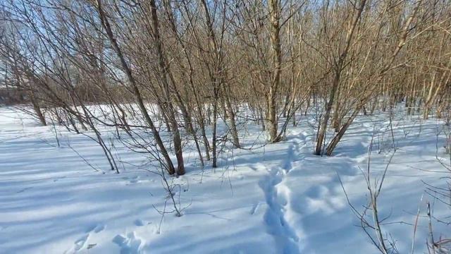 10 км по льду. Лыжный поход по реке Суре. Экстремальный поход. Обед на природе