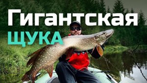 Гигантская щука! Поймали настоящий трофей в Архангельской области!