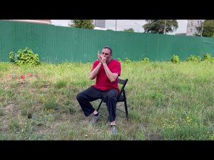 St Louis Blues минор и мажор #stratocastro #harmonica #harp #губнаягармошка