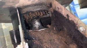 Испытания!!! Крымская Лаванда Гранулированная Диаметр 8 мм Толщина Матрицы 88 мм