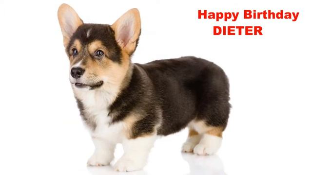 Dieter  Dogs Perros - Happy Birthday