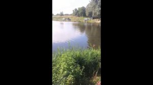 Урок по ловле осетра