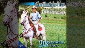 El Caballo Amarillo