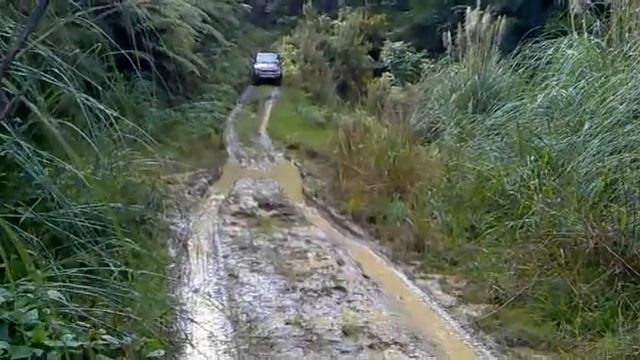 4wding in horeke 2 of 2 смотреть онлайн