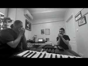 Учим Cissy Strut #stratocastro #harmonica #harp #губнаягармошка
