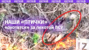 «Птички» 24 бригады ВС России «охотятся» за пехотой ВСУ: Discovery на СВО