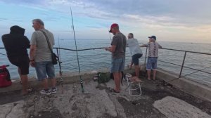 РЫБАЛКА С ПИРСА. АЛУШТА