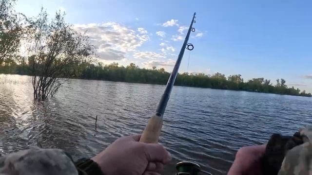 рыбалка на поплавок,остались в ночь на закидушку).mp4 смотреть онлайн