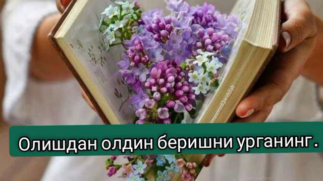 Нима_хохлаяпсиз_беринг_узингизга_кайтади смотреть онлайн