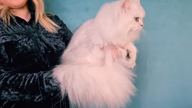 Веста🥰🌷🌷🌷