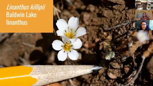 Conservation Stories: Naomi Fraga, Ph.D смотреть онлайн