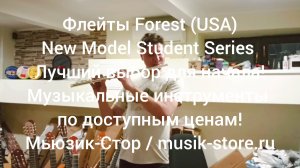 Флейты Forest USA New Model Лучший выбор для начала! Где купить флейту?| Мьюзик-Стор/#флейта #купить
