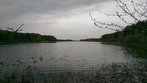 Мича 2015г.Часть 1.