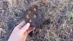 Копнул металла на 3000 р за час! Открыл сезон копа с металлоискателем! Поиск кладов