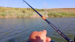 когда окунь клюёт