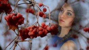 Ой,калина красная_стихи Светлана Ромашина