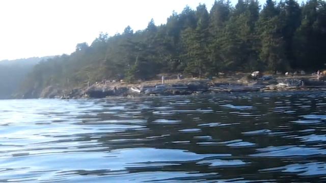 Folding, paddling, unfolding kayak смотреть онлайн