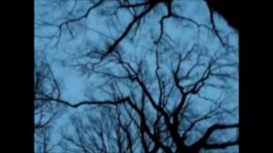 Scarborough Fair - Marianna Geraci/ Poetry Girl