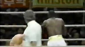 Sung Kil Moon vs. Nana Konadu I.WBC SFlyWC.1990.01.20
