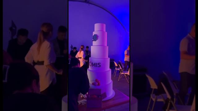 Подготовка проекционного 3d шоу на торте.