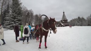 Архангельск - Малые Корелы