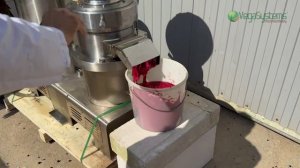 Измельчение фруктов и ягод в джем, сок - Vega Berry Grinder оборудование, производство