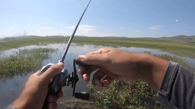 Fishing Midmar dam in the heat of summer TOPWATER смотреть онлайн