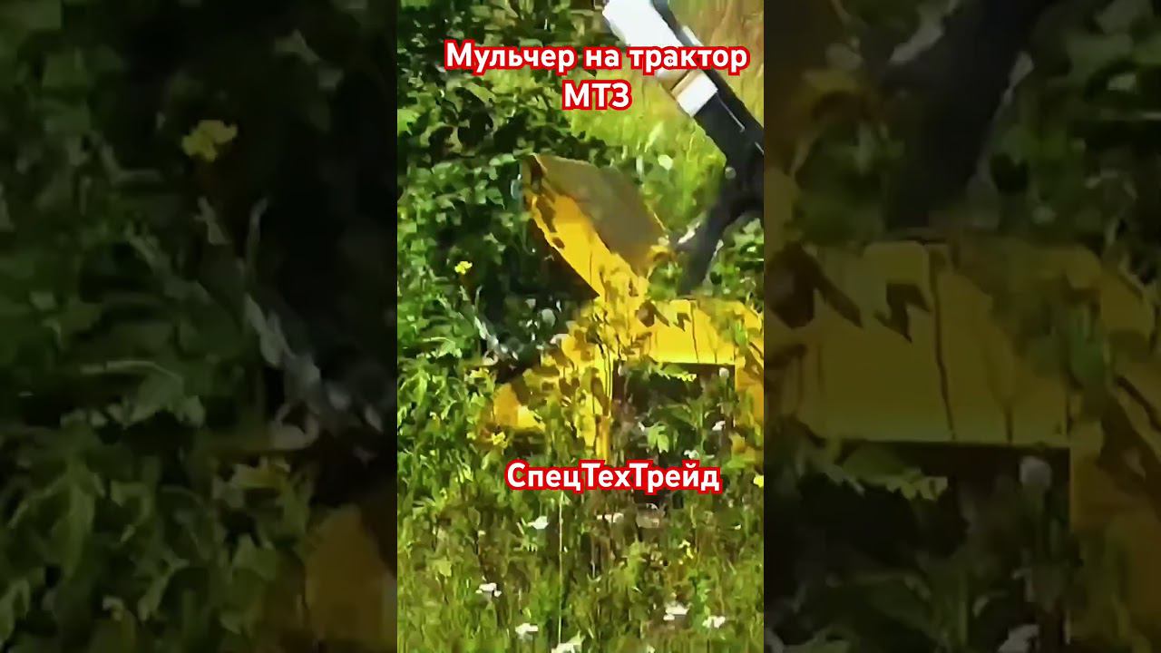 Мульчер на трактор МТЗ82 #коломна #мтз #мульчер #мульчеры #мульчерexpert
