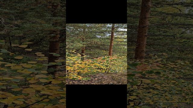Карелия. Лахденпохья. Karelia. Lakhdenpokhya