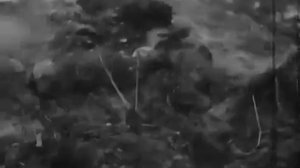Кинодокументы о зверствах немецко фашистских захватчиков 1945 год