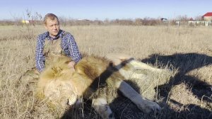 Олег Зубков ЧЕСТНО и ОТКРОВЕННО ! Моё мнение о том, что я вижу на наших телеканалах!