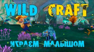 Используем бустер уменьшения! WildCraft