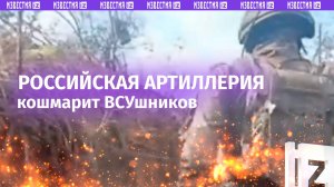 «Приход, беги!»: российская артиллерия не дает ВСУ сунуть носа из укрытий