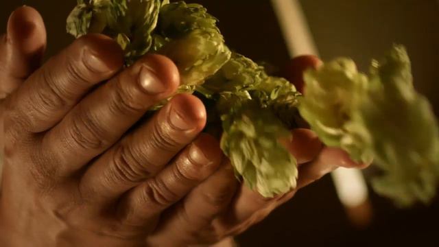 Десант - ArchiveAdme.com смотреть онлайн