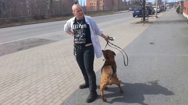 Kuntavaaliehdokas Tampere Sanna Piipponen Kuntavaalihaastattelu 4.5.2021 Kuvaus Lehto Seppo